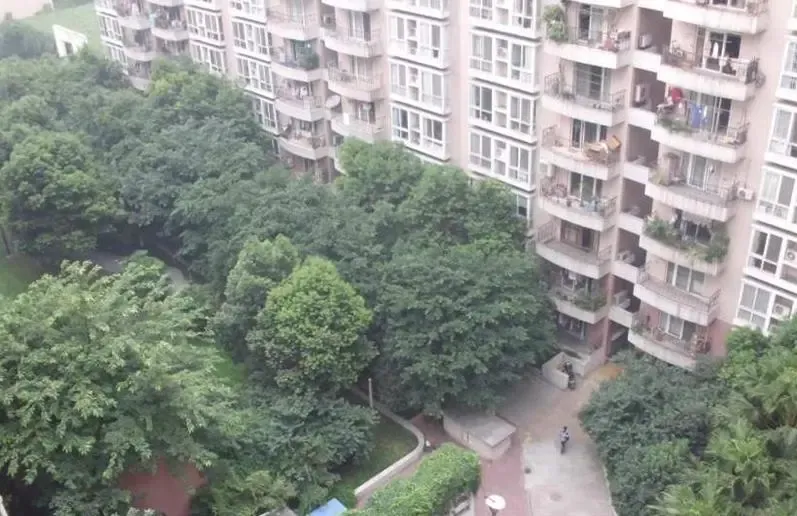 新加坡花园3室2厅2卫南朝向4000.00元/月出租