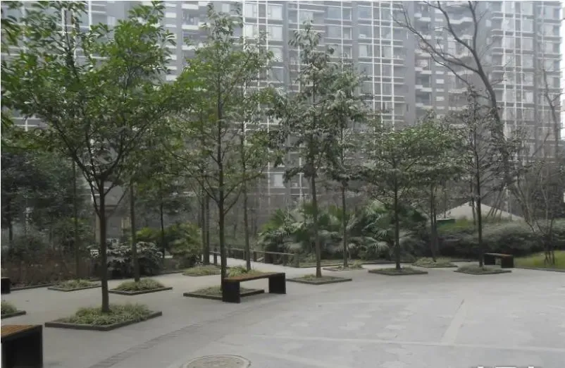 百仁安盛3室2厅1卫南朝向3200.00元/月出租