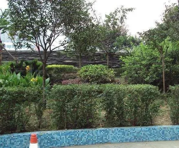 楠丽湾2室1厅1卫南朝向1700.00元/月出租