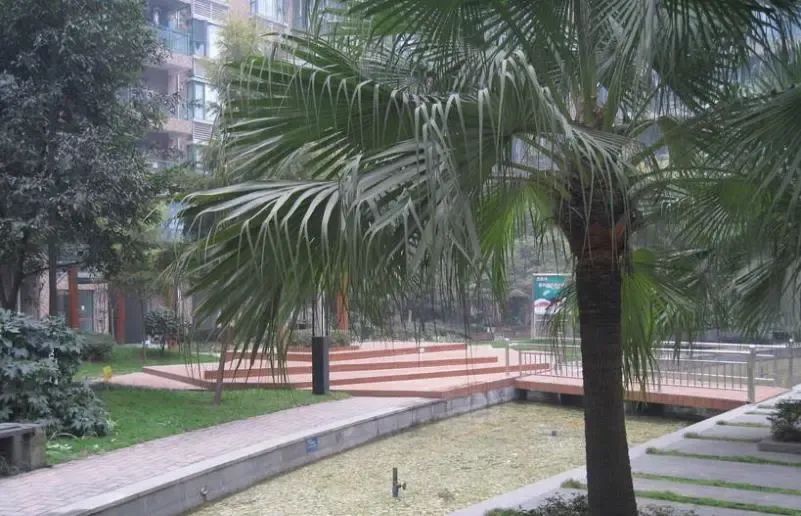 水漪袅铜2室1厅1卫西朝向3000.00元/月出租