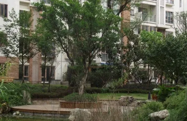 御源大湖区2室1厅1卫南朝向1800.00元/月出租