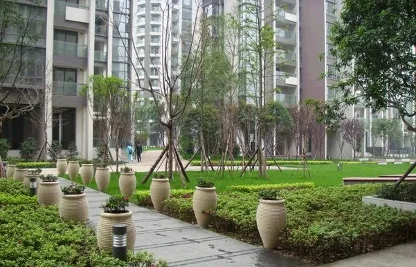 英郡三期3室2厅2卫东南朝向3500.00元/月出租