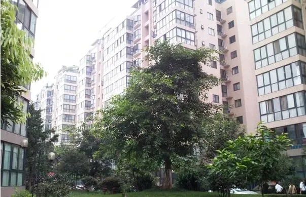 瑞通凯域1室1厅1卫东朝向1600.00元/月出租