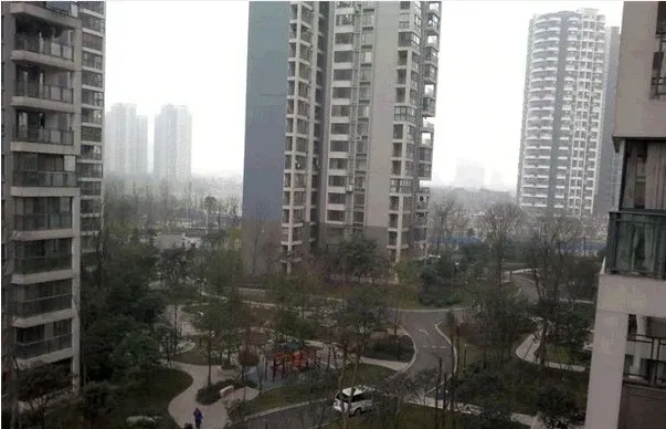 整租·东苑B区3室1厅