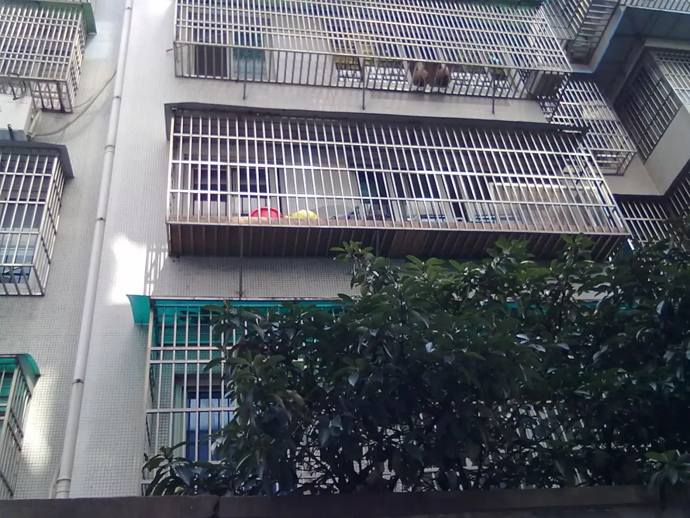 月池坊3室2厅2卫南朝向4800.00元/月出租