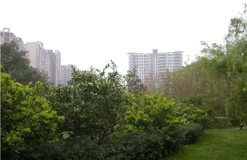 溢阳绿城 3室 2厅 127.79平米