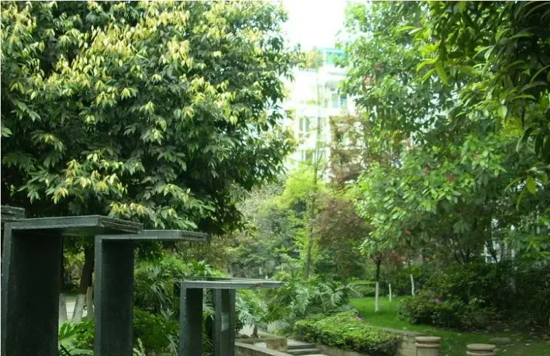 溢阳绿城3室1厅1卫东南朝向2700.00元/月出租