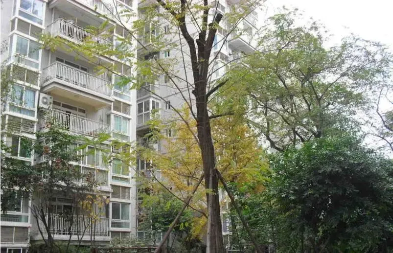 一代天骄2室1厅1卫东南朝向1900.00元/月出租