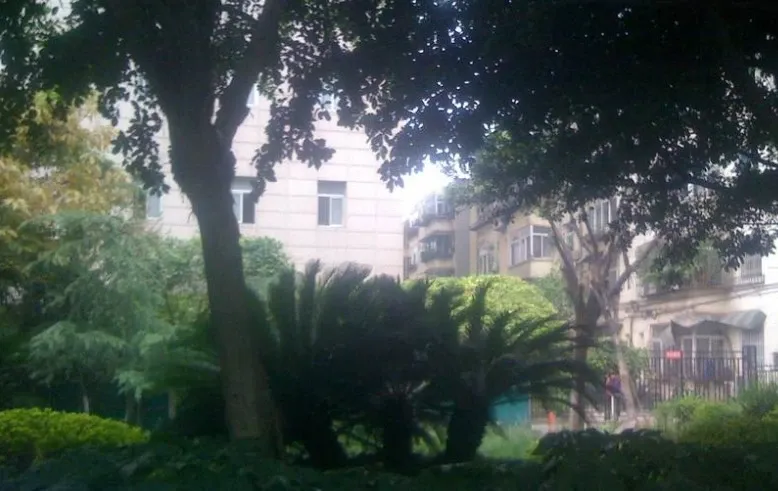 秀水园2室1厅1卫东南朝向2300.00元/月出租