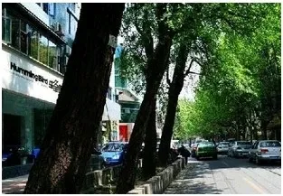 东胜街5号院2室2厅1卫东南朝向2600.00元/月出租