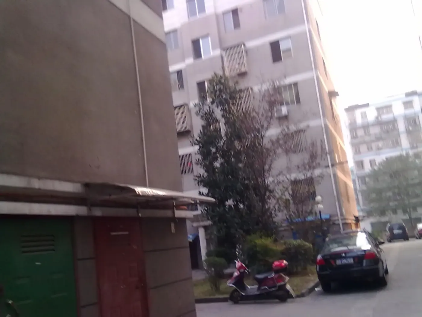 福年花园3室2厅2卫南朝向2300.00元/月出租