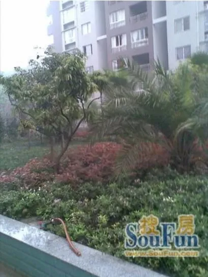 津都花城2室2厅1卫西朝向550.00元/月出租