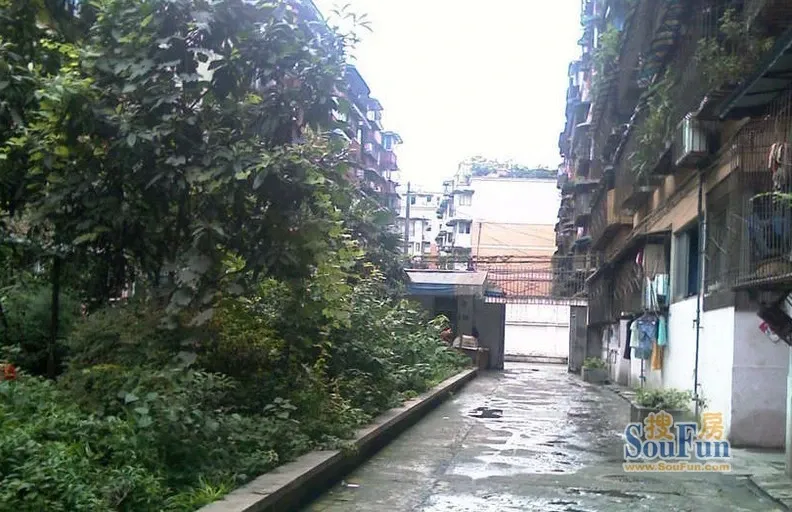 瑞西小区2室1厅1卫东南朝向1460.00元/月出租