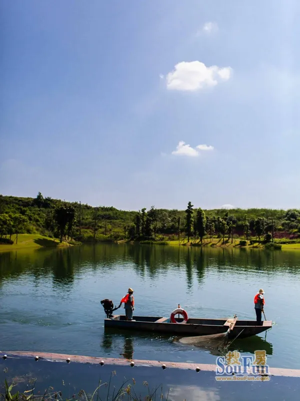 麓湖生态城澜语溪岸3室2厅2卫东朝向6800.00元/月出租