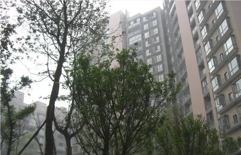 中大君悦金沙三期2室1厅1卫东西南北朝向3000.00元/月出租