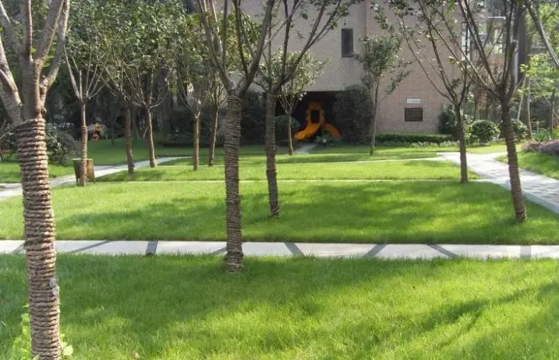 整租·中大君悦金沙三期2室2厅