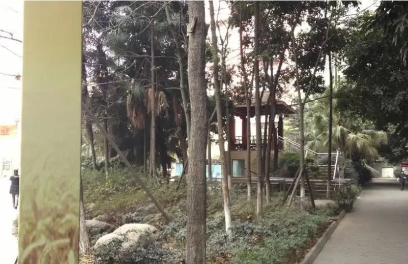 整租·通惠门路25号 3室1厅 西南