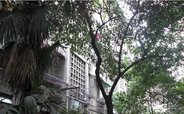 吉祥街14号院2室1厅1卫南朝向1800.00元/月出租