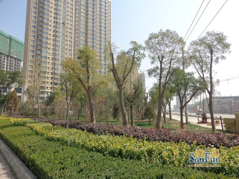 实景图:中广宜景湾·尚城小区绿化实景（2013-10）