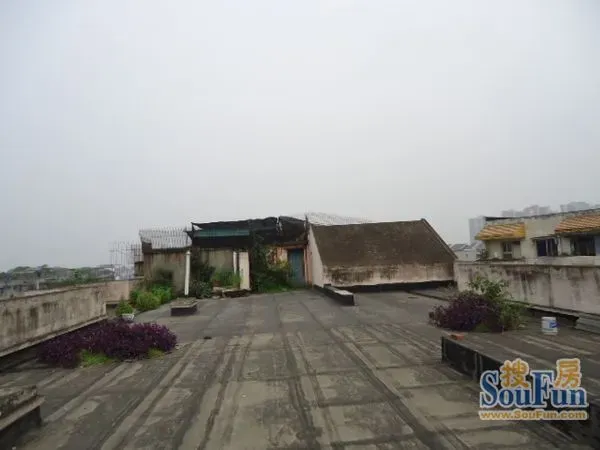 杜鹃园4室2厅1卫南朝向1900.00元/月出租