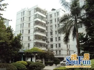 南新一路小区3室2厅1卫南朝向2500.00元/月出租