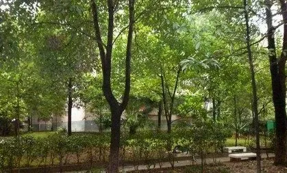 芙蓉小区3室2厅2卫东南朝向1800.00元/月出租