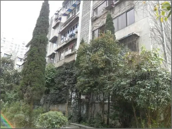 龙泉驿农行宿舍2室1厅1卫西南朝向1200.00元/月出租