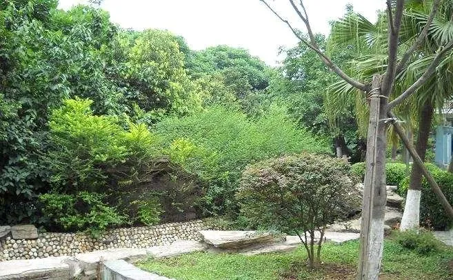 绿水康城别墅4室2厅3卫南朝向19000.00元/月出租