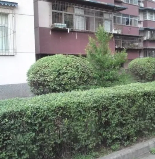 航天丁区2室1厅1卫西南朝向1100.00元/月出租