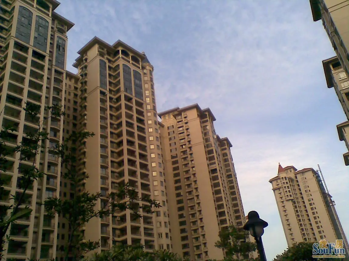 佛山市小学入学条件
