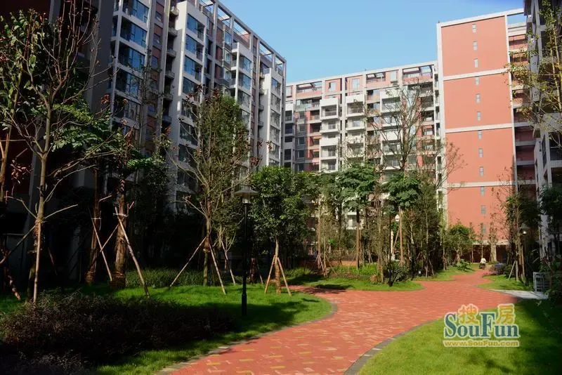 天际首府3室1厅1卫东北朝向2700.00元/月出租