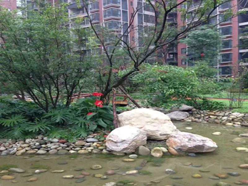 七彩花都三期2室1厅1卫东南朝向1288.00元/月出租