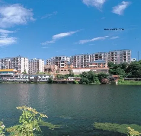 富豪山庄4室2厅2卫南北朝向1500.00元/月出租