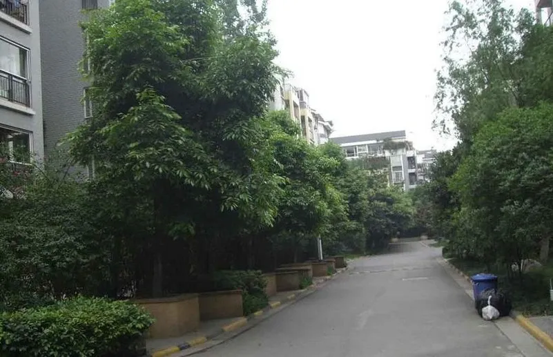 金沙西园一期2室1厅1卫东南朝向3000.00元/月出租