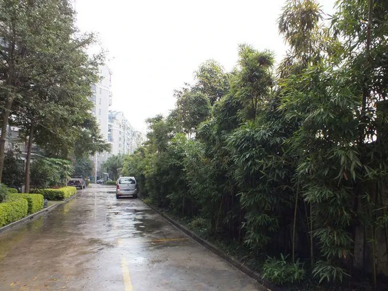 正祥香槟风范5室2厅3卫南朝向5000.00元/月出租