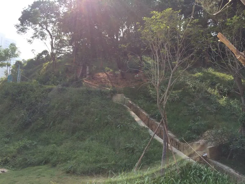 广州金沙山海名门园林实景