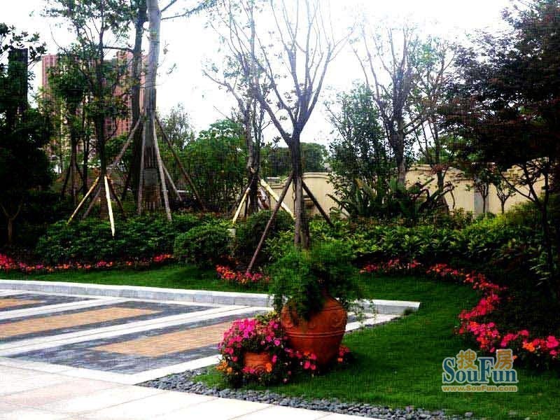 成功红树林3室2厅2卫北朝向4300.00元/月出租