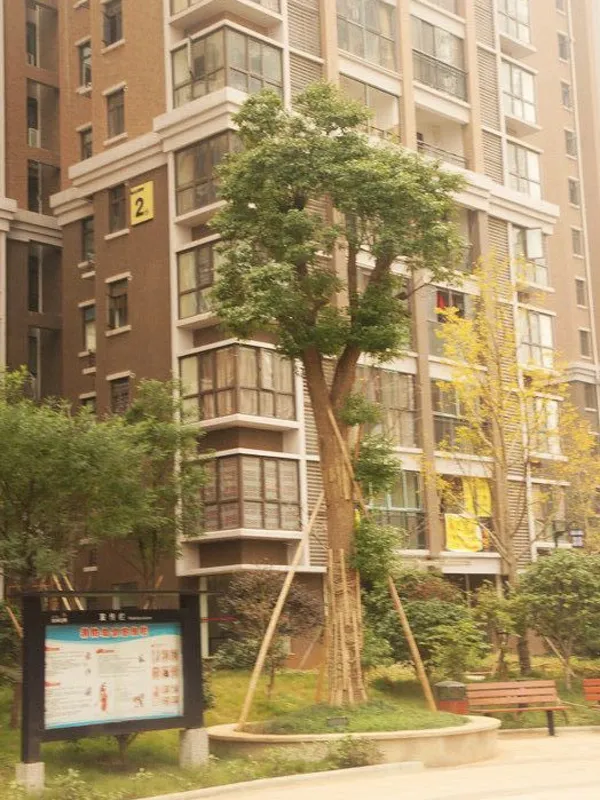 水岸世景1室1厅1卫南朝向1000.00元/月出租