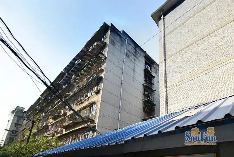 造纸厂宿舍2室1厅1卫南朝向2800.00元/月出租