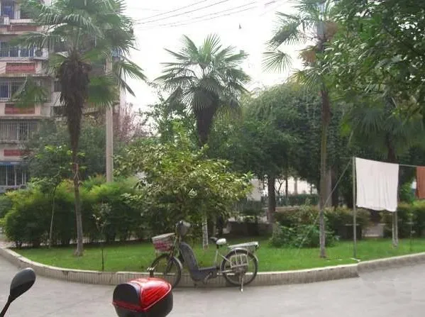 玉洁东街4号院2室1厅1卫东南朝向1900.00元/月出租