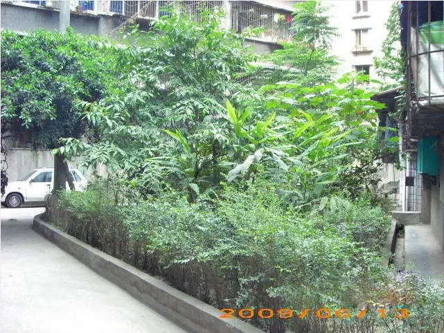 牧电路13号 2室 1厅 44.42平米