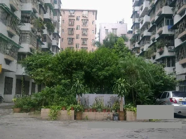 校园路小区2室1厅1卫东南朝向2500.00元/月出租