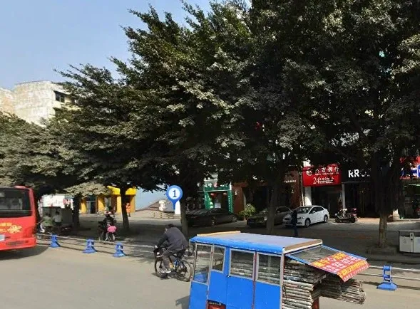 望福街17号院3室2厅2卫东西南北朝向3200.00元/月出租