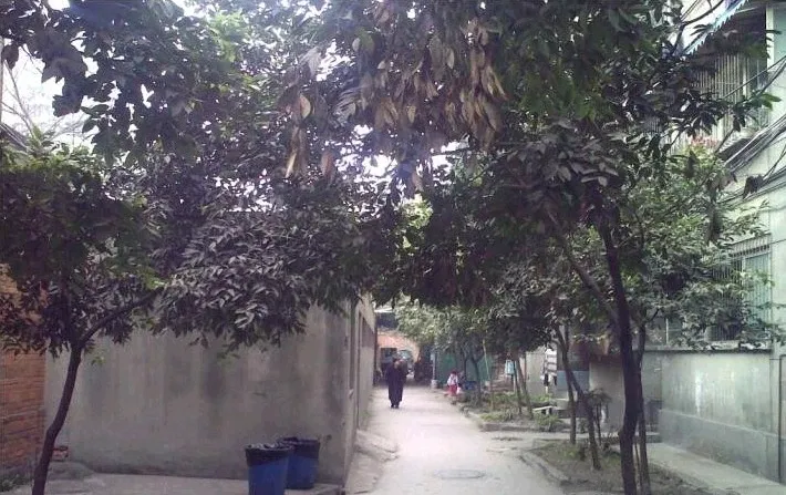 东篱路122号院3室2厅1卫东西朝向1850.00元/月出租