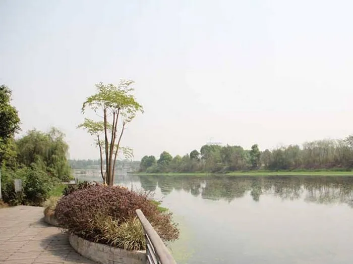 交大香悦3室2厅2卫南北朝向1650.00元/月出租