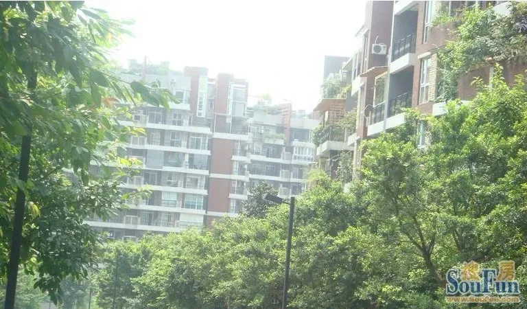 书香雅筑1室1厅1卫东南朝向750.00元/月出租