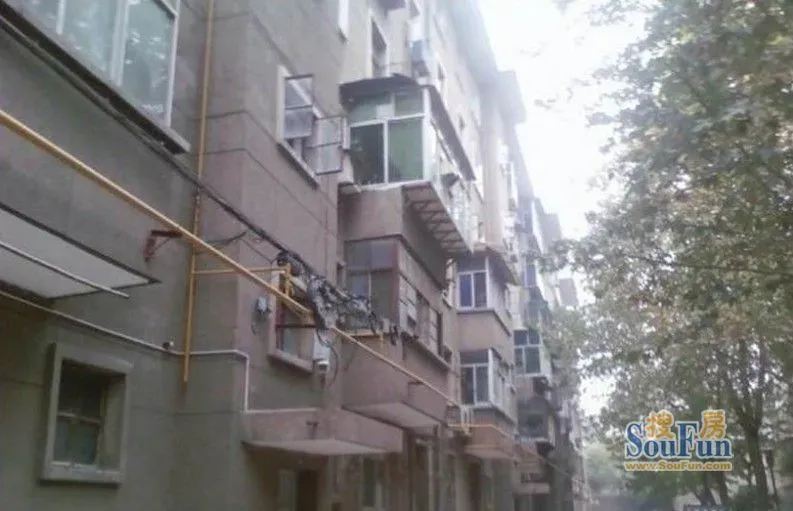 温江粮食局家属院3室1厅1卫南朝向1600.00元/月出租