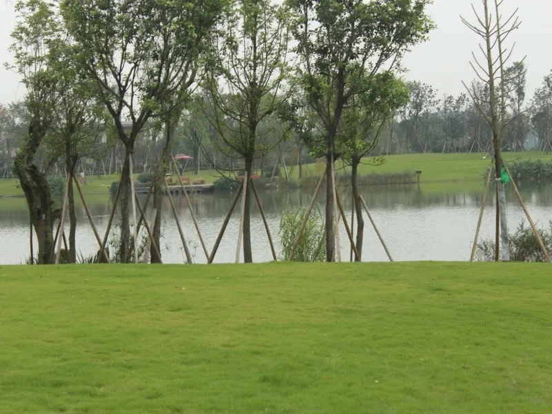 峨眉青庐1室1厅1卫东南朝向650.00元/月出租