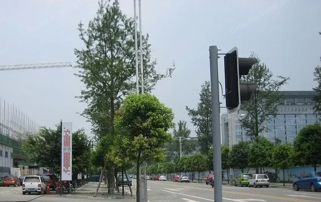 锦尚景3室2厅2卫南朝向1000.00元/月出租