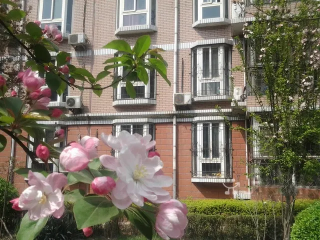 整租·秀兰城市花园 1室1厅 南/北